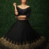 Elegant Black Occasional Lehenga