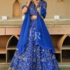 Navy Blue Embroidered Silk Lehenga